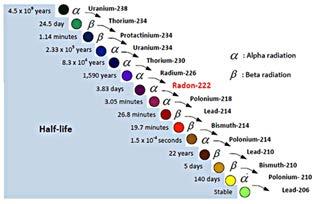 neutrons 235 U - 92 protons, 143 neutrons Absolute Age - Isotopes Stable isotopes - don't change form over time