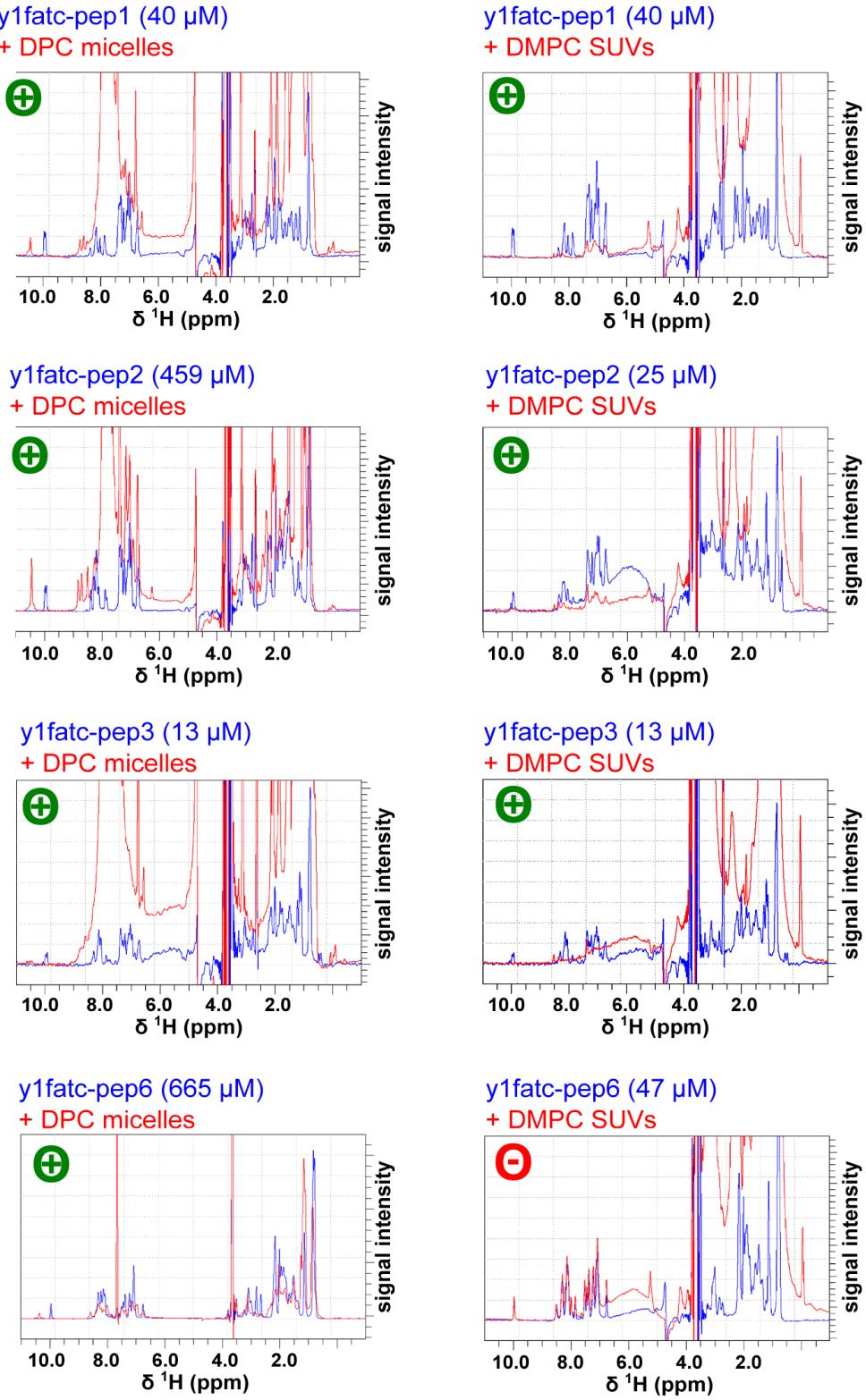 Figure 2: Monitoring of the interaction of the unlabeled y1fatc peptides with membrane mimetics by 1D 1 H NMR spectroscopy.