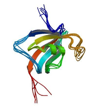 The protein FKBP38 consists of 412 amino acids, Figure 1.