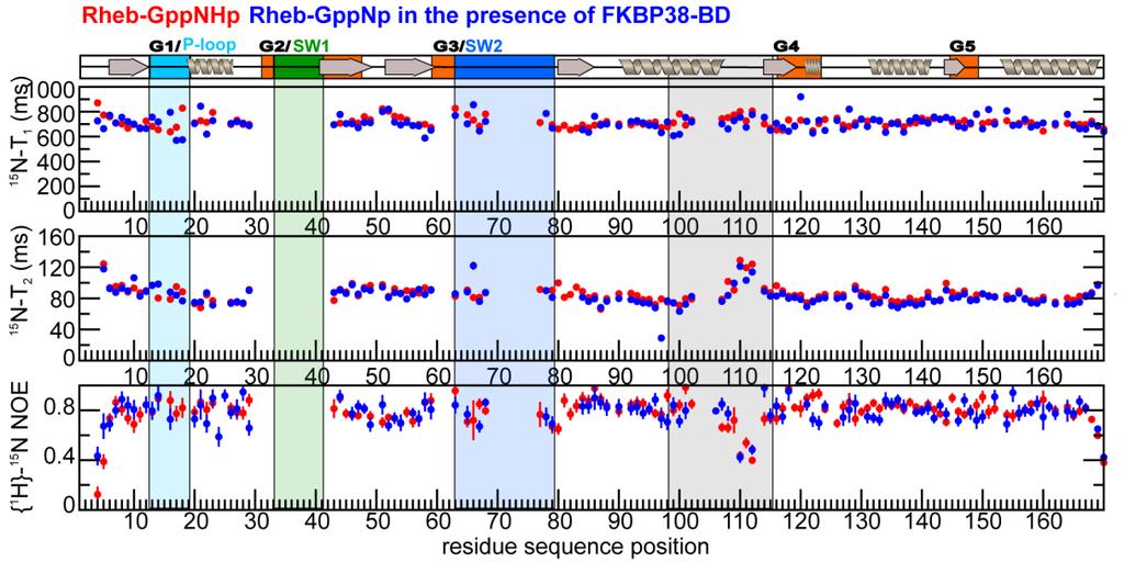 Figure 4.12: Comparison of the backbone dynamics of RhebΔCT in the GppNHp-bound state in the absence (red) and presence (blue) of unlabeled FKBP38-BD.