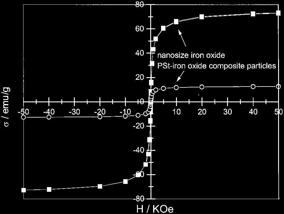 The aggregates of iron oxide nanoparticles appear as black dots in the center of the larger polystyrene-iron oxide composite particles.