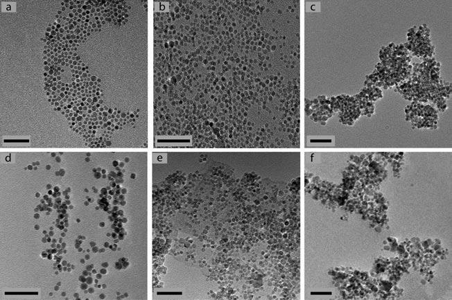 Sorbents for Removal of Contaminants Physical characteristics of exchanged Fe 3 O 4 nanoparticles The magnetic nanoparticle sorbent materials were fully characterized before and following ligand