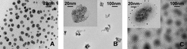 SYNTHESIS OF STABLE SUPERPARAMAGNETIC IRON OXIDE NANOPARTICLES 1471 Figure 2. Transmission electron microscopy (TEM) images of (A) MIONs; (B) 1st-NPs; and (C) 2nd-NPs (i.e. final).