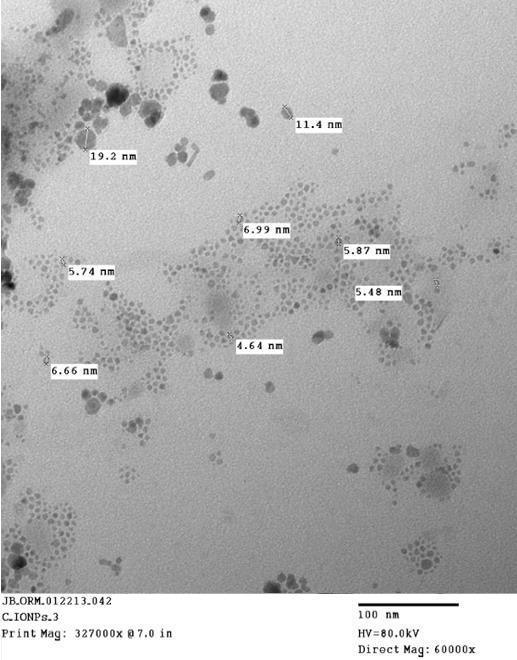 Mean Nanoparticles Size (nm) 50 45 40 35 30 25 20 15 10 5 0 Stability Measurement of PEGylated SPIONs 0 1 2 3 4 5 6 7 8 Time (Days) Figure 7.