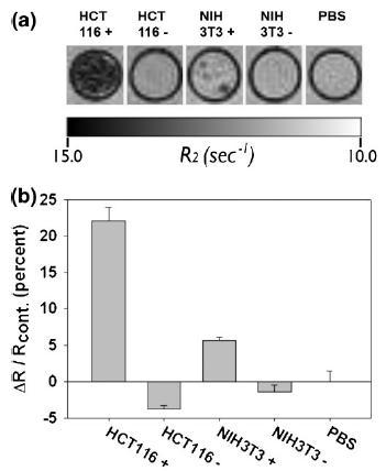 Figure 14. T 2 -weighted MR images and their color map for HCT116 and NIH3T3 cells (a) and relative relaxation rates (R 2 = R 2 /R 2cont ; R 2 = T 2-1 ) (b).