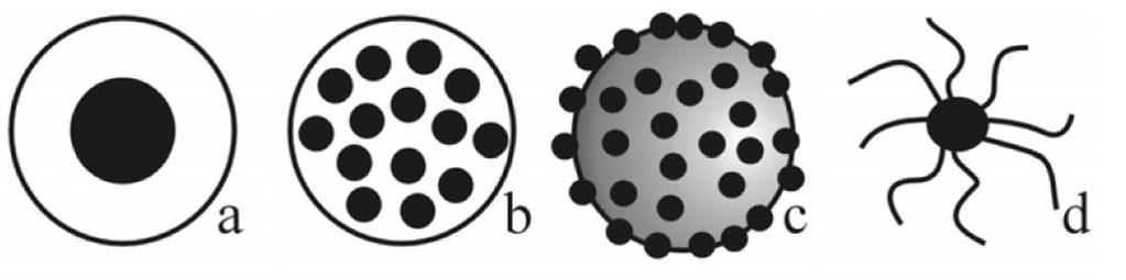 Figure 1. Different morphologies of composite magnetic polymer microspheres; single-core (a), multicore or embedded (b), raspberry-like or heterocoagulated (c), and brush-like morphology (d).