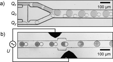 Figure 2. Design of droplet-based microfluidic system for the preparation of magnetic Fe 3 O 4 nanocrystals via coprecipitation of aqueous Fe(II) and Fe(III) solutions in oil.
