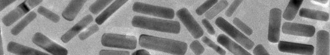For these multifunctional nanoparticles loaded with SPION and gold nanorods, a peak can be seen at 836 nm, superimposed on the background due to SPION absorption below