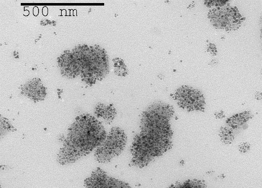 Figure 22: TEM of spray dried gemcitabine-iron oxide loaded chitosan microparticles Figure 23: SEM of blank