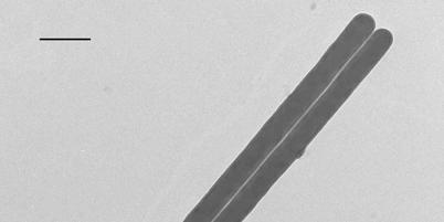 silica nanotubes