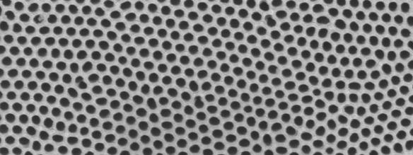 nanopore membrane or other solid surface [39]. Figure 1.