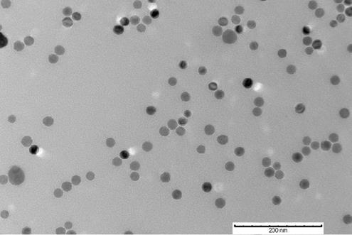 Figure 7.1 Representative TEM micrograph of iron oxide nanoparticles. 0.8 Probability density 0.6 0.4 0.2 0.