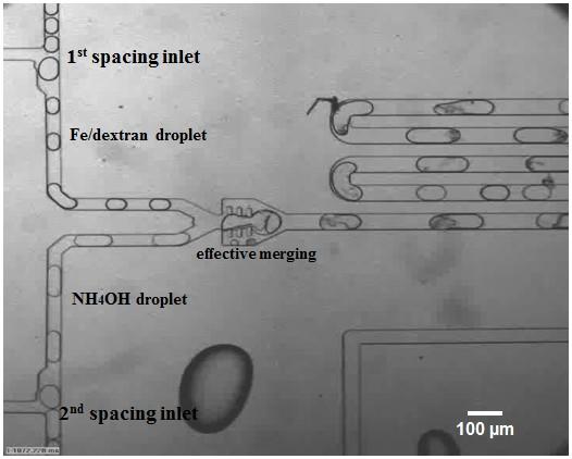 When the spacer device was used for SPION synthesis the space between adjacent droplets was increased for both iron precursor and ammonia droplets. Figure 4.