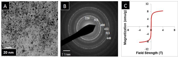 19: A) TEM micrograph of uncoated iron oxide nanoparticles prepared in the spacer device with average size of t ~3 nm B) SAED Pattern showing crystal structure corresponding to Fe 3O 4 and γ- Fe 2O 3