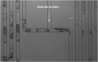 To study the effect of dextran addition on the growth of SPIONs, the same experimental conditions (concentrations & flow rates) as those used in the spacer device were employed (except no dextran was