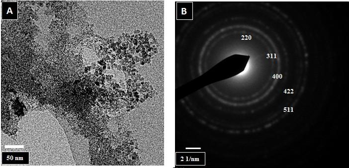Figure 5.3A shows a TEM micrograph of the dextran coated iron oxide nanoparticles produced in the capillary reactor in the first few minutes of operation.