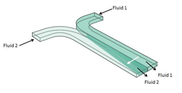 component streams mix only by diffusion, creating a dynamic diffusive interface with predictable geometry. 57 Figure 1.12: Schematic of two miscible fluid streams under laminar flow conditions.