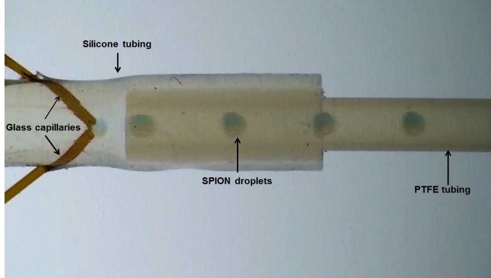 356 μm, OD 1.57 mm) is attached using polyether ether ketone (PEEK) luer-lock interconnects (Upchurch scientific). The glass capillaries are inserted into the the FEP tubing.