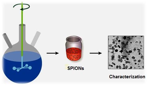 III Chapter 3 Bulk Synthesis of SPIONs This chapter evaluates various bulk methods for the synthesis of bare and dextran coated SPIONs.