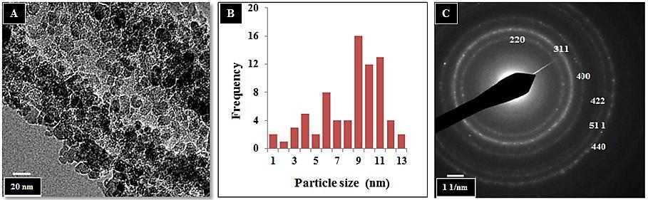 Aggregation was due to both the high surface-to-volume ratio of the particles and magnetization. The size distribution of the particle population was relatively broad (Figure 3.