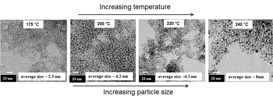 reduced and particle formation starts only above this temperature. The nanoparticles are highly monodisperse and homogeneously distributed at 240 C. Figure 3.