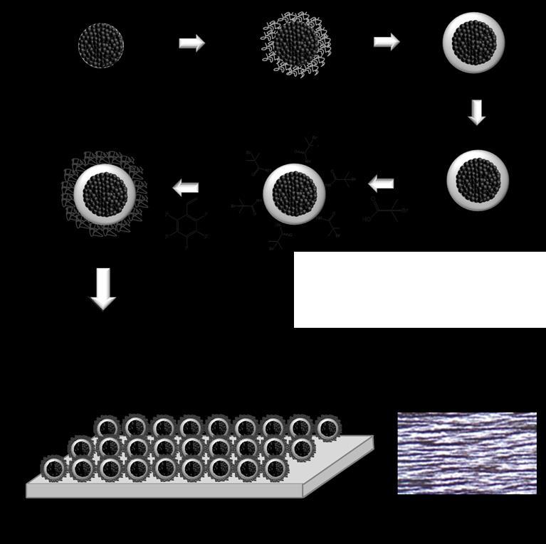 Results and Discussion Figure 48. Schematic illustration of the preparation of superparamagnetic iron oxide/polymer/silica nanoparticles with pentafluorostyrene surface functionality.