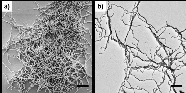 Results and Discussion To obtain highly stable nanoparticles, the charged comonomer styrene sulfonate was added during the polymerization to introduce a covalently bonded negative surface charge.