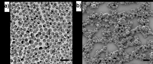Results and Discussion thin diameter and the porous structure of the single rods, they are promising candidates to be used as building blocks for the catalysis of oxygen reduction reaction [299] or