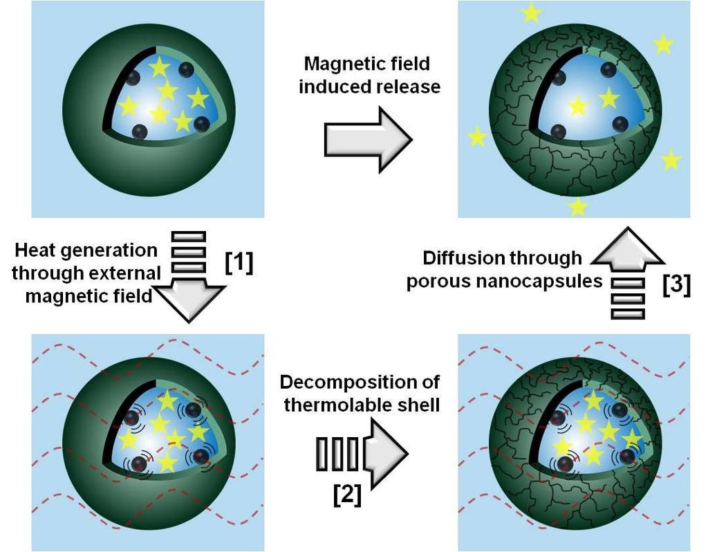 Results and Discussion Figure 11. Schematic illustration of magnetic field induced release from nanocapsules.