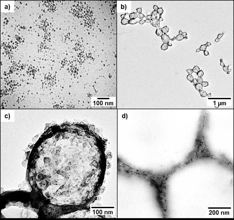 Results and Discussion of the resin were investigated by TEM (Figure 25d). The TEM cuts show proof for the successful insertion of the iron oxide nanoparticles in the shell of the capsules. Figure 25.