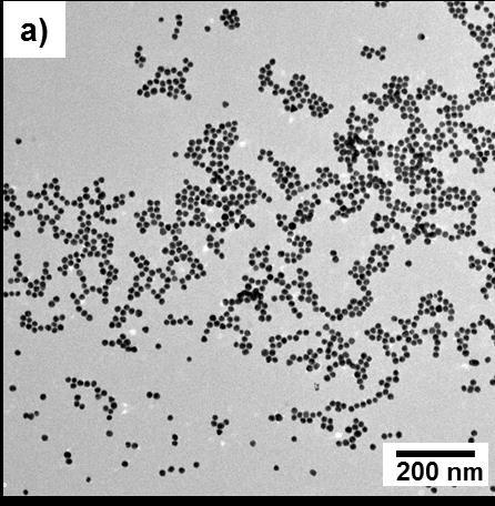 Results and Discussion III Figure 28. a) TEM image of citrate coated gold nanoparticles drop-casted from aqueous dispersion.