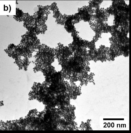 Results and Discussion b) a) Figure 29. a) TEM image of gold nanoparticles drop-casted from a 20 mg ml -1 sodium chloride containing aqueous dispersion.