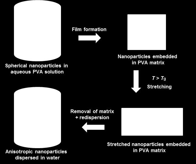 Results and Discussion Figure 34. Stretching procedure of the iron oxide labeled polymer nanoparticles.
