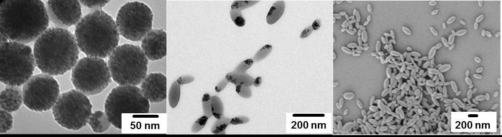 Results and Discussion Figure 35. TEM image of spherical nanoparticles of poly(styrene/styrene sulfonate) with incorporated iron oxide (a).