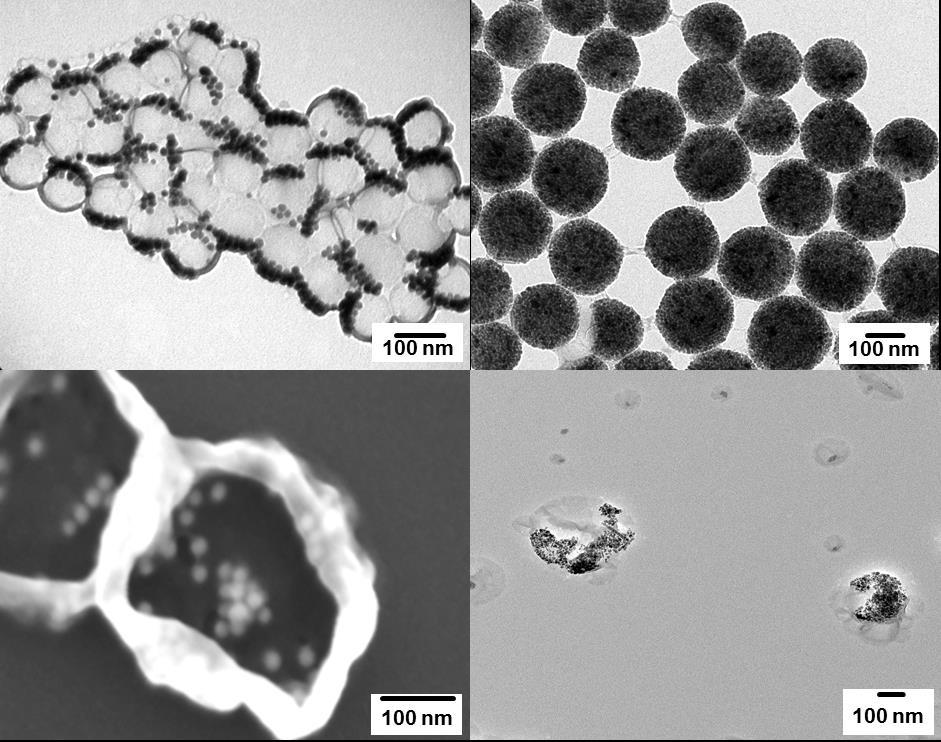 Results and Discussion Figure 40. TEM and SEM images of all the hybrid nanoparticles and nanocapsules. Table 6.