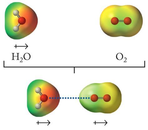 Mixing of Polar and Nonpolar Liquids + H - O H + H H H H - C - C - C - H H H H + H - O H + + H - O H + H H H H - C - C - C - H H H H The weak London forces present in the CH 3 CH 2 CH 3 molecules are