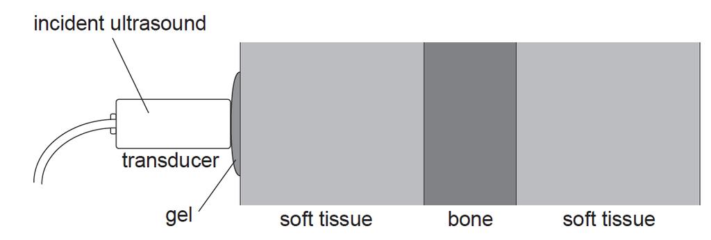 The acoustic impedances for various media are shown in the table. 6b. [6 marks] Ultrasound is incident normally on a layer of soft tissue. Gel is placed between the skin and the transducer.