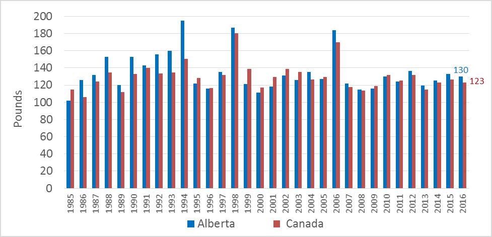 Figure 4: Honey Production in Alberta and Canada, 1985-2016 (Pounds x 1,000) Source: Statistics Canada, Alberta Agriculture and Forestry The highest honey production was recorded in 2006.