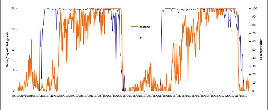 Figure 6. Number of hours per day with bearded seal call detections (orange line) and ice concentration (blue line) within 30 km of mooring sites. Upper panel: Mooring site A1, 2008-2010.