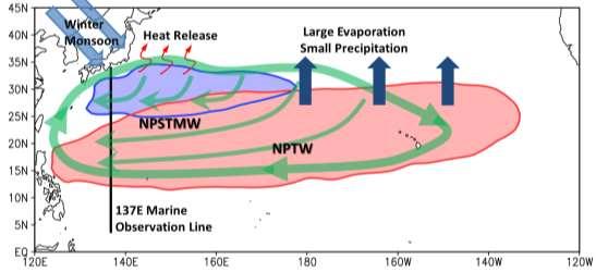 Results from 50 years of monitoring have helped to clarify variations in North Pacific subsurface water masses, which are generally formed from exchanges of heat, fresh water and moment with air at