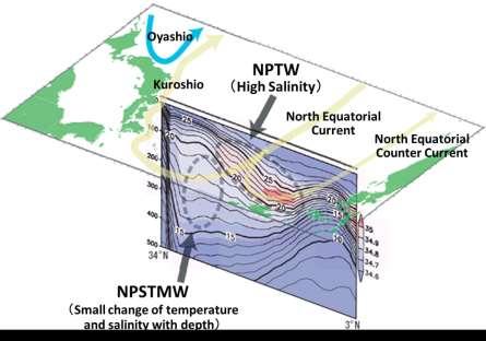 (Chapter 3 Atmospheric and Marine Environment Monitoring) Figure 3 Subsurface water masses (dashed ovals) in the temperature and salinity section along the 137 E line Temperature (contours) and