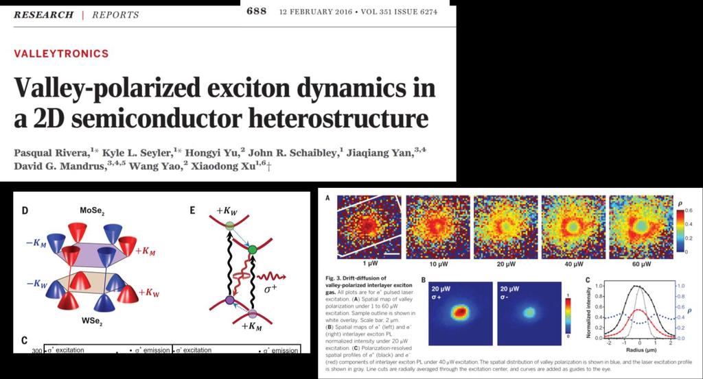 Excitons in