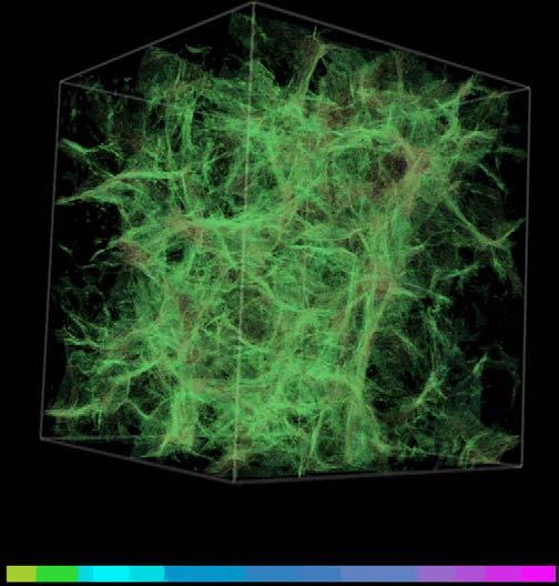 A model for the intergalactic magnetic field (IGMF) (Ryu, Kang, Cho, Das 2008) filaments - vorticity