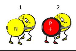 Section 9: Natural Transmutations: Alpha, Beta, Gamma Nuclear Stability In Physics 2204, you learned that there are only four basic forces in nature (that we know about!
