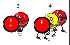 force) and the strong nuclear force. The 4 part picture below may help you understand the roles of these two forces as nuclei either stay in one piece (stable) or split apart (unstable). 1.
