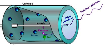 Ionisation Ionisation is when an atom loses or gains and electron to become a charged ion. Alpha, beta and gamma are called ionising radiation as they can cause ionisation.