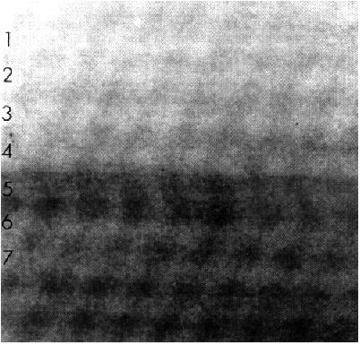 Atomic resolution chemical analysis Edge resolution test on CoSi 2 /Si(111) interface VG Microscopes HB501UX, 100 kv, ~ 2.2 Å probe 1.