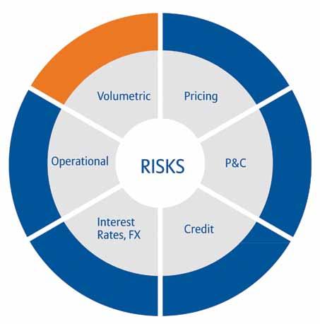 Traditional Risk Management Traditional risk management instruments include: insurance, options, futures and other swaps + Weather Risk Management Volatile weather means variable costs and revenues