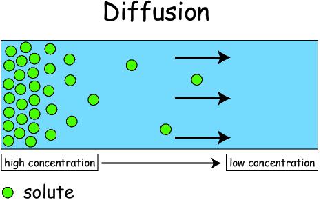 Rates of diffusion are affected by Temperature Density In the