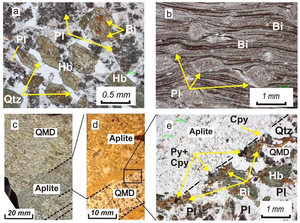 Fig. 4. Discovery Zone quartz diorite photomicrographs. a) Weakly altered (hornblende replaced by biotite) quartz diorite porphyry, plane polarized light.
